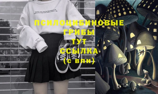 бошки Верхний Тагил