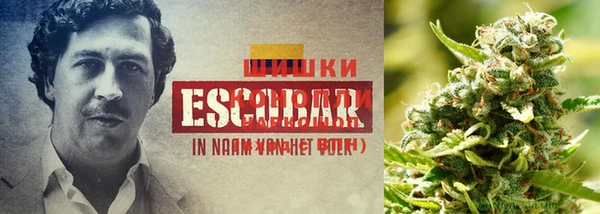 бошки Верхний Тагил