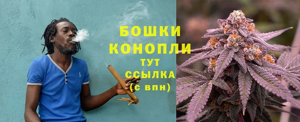 бошки Верхний Тагил
