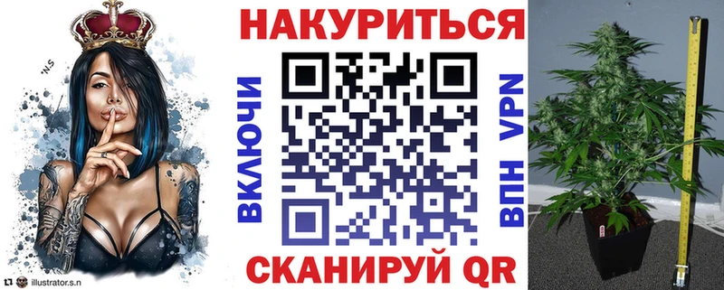 Канабис план Гай